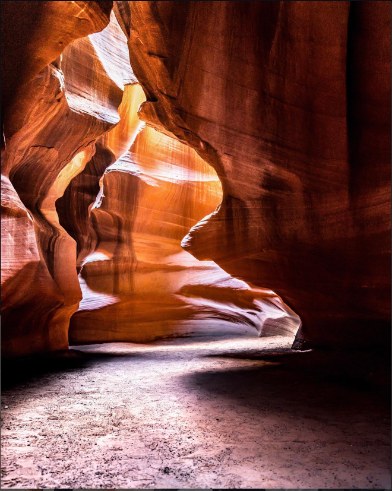 Photo by Danny Nguyen