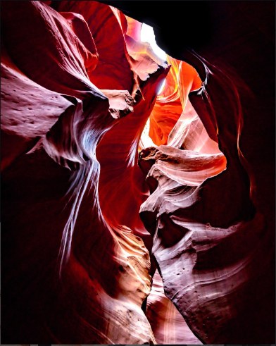 Photo by Danny Nguyen